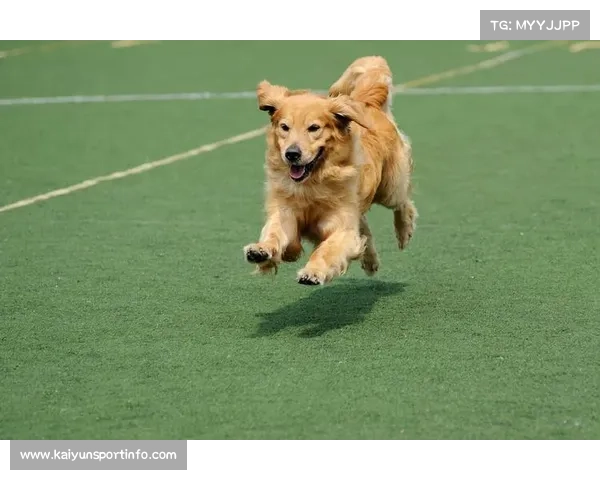 北京站设男女各七个项目 包括男子短跨跳与女子中长跑投掷等多项赛事